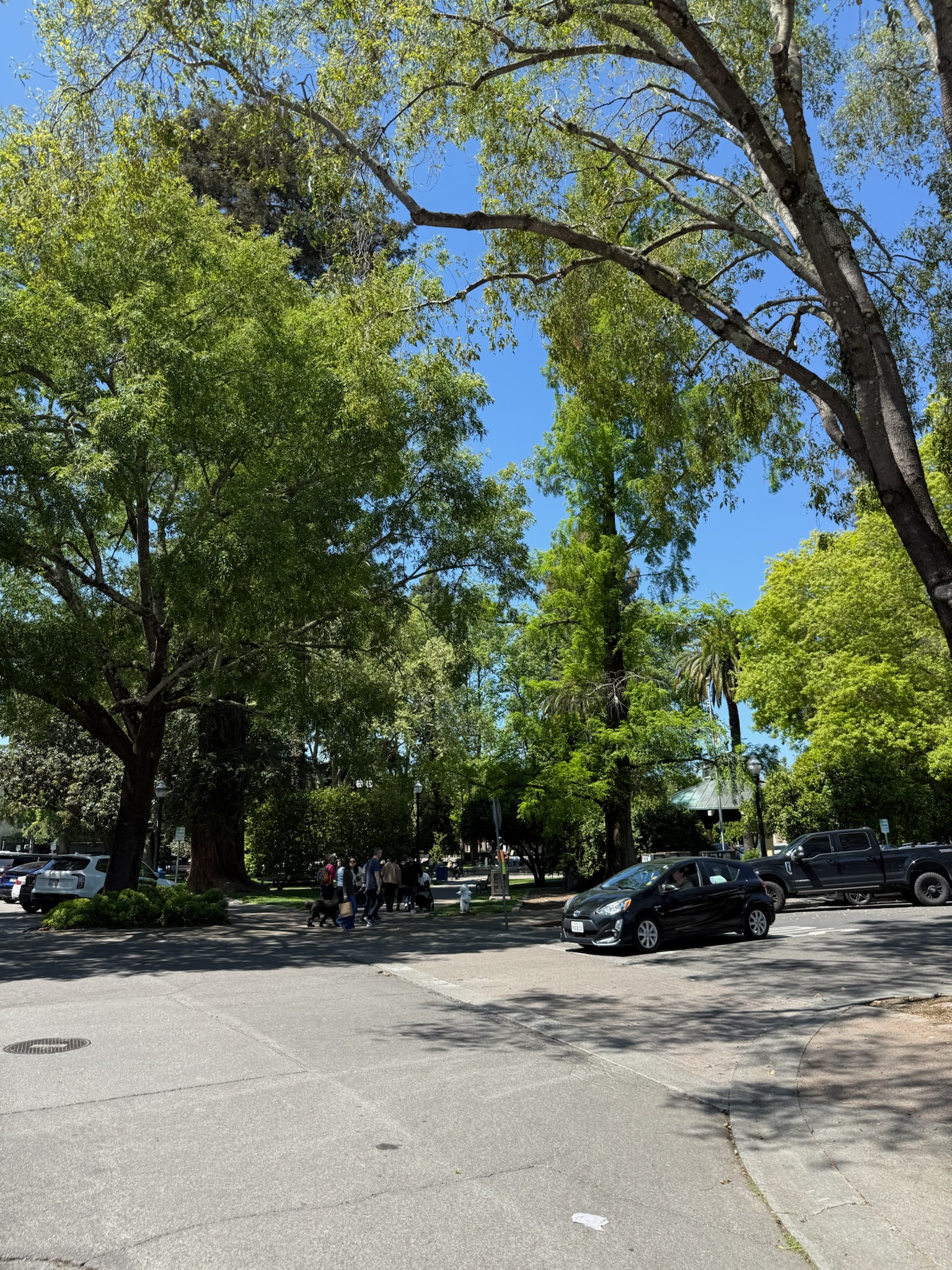 Charming downtown Healdsburg — stroll under towering trees to wine tastings, fine dining, and boutique shops just minutes from your doorstep.