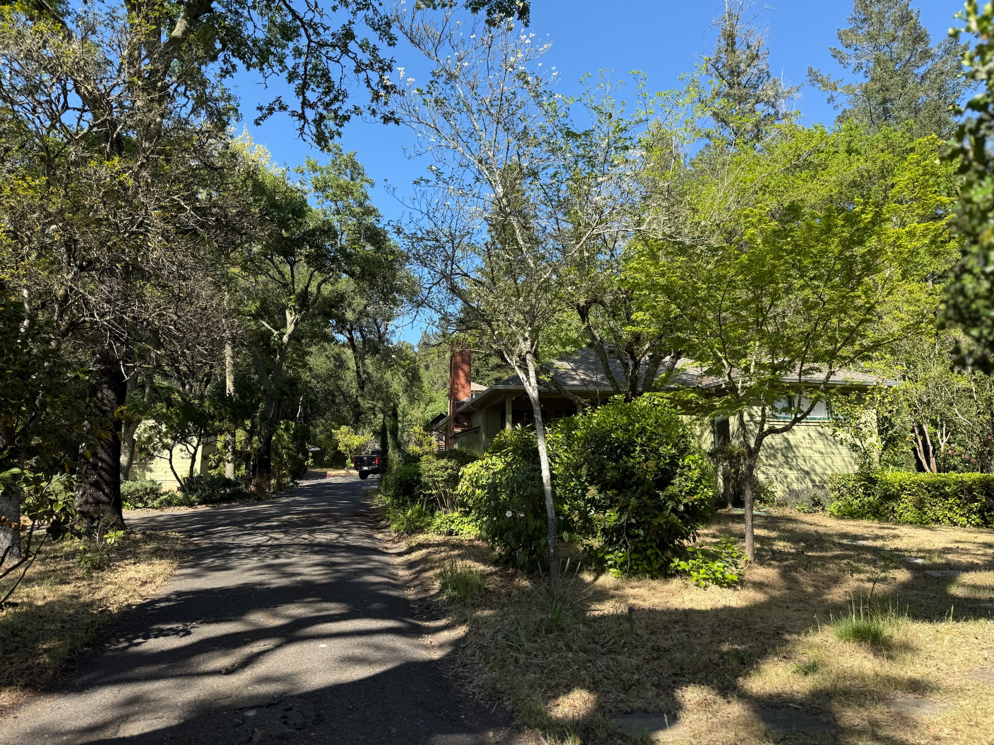 Quaint country driveway winding beneath a canopy of trees, leading you to a secluded Healdsburg haven.