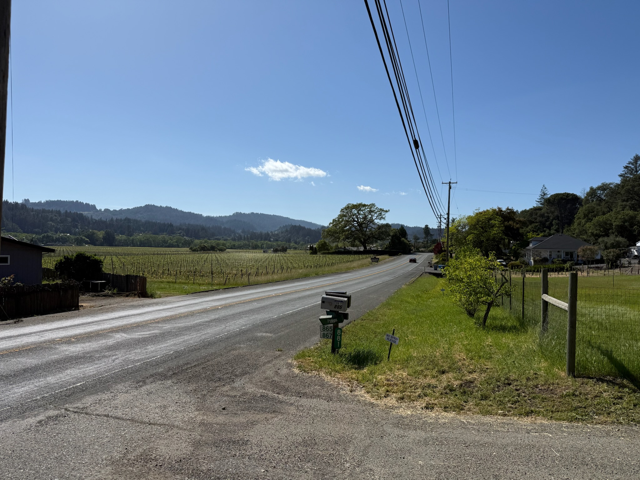 Iconic Dry Creek Valley scenery — vineyard rows stretching to the hills, just moments from your doorstep.